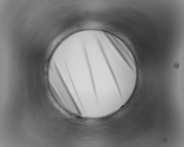 X0000113201480200910221029