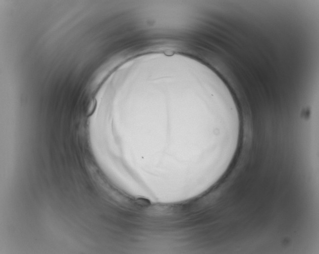 X0000113201481200910221029