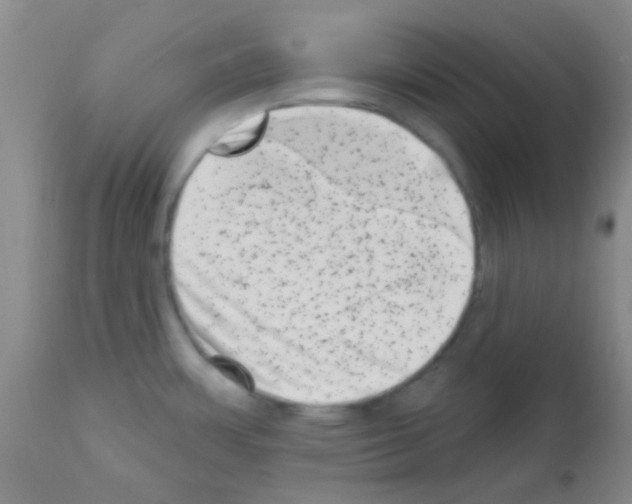 X0000113201483200910221029