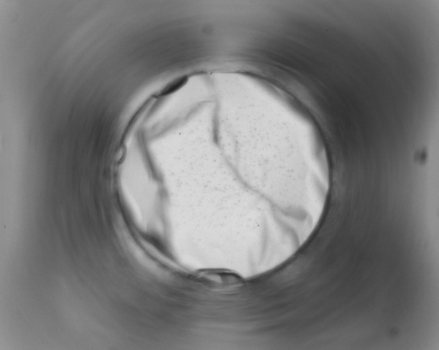 X0000113201484200910221028