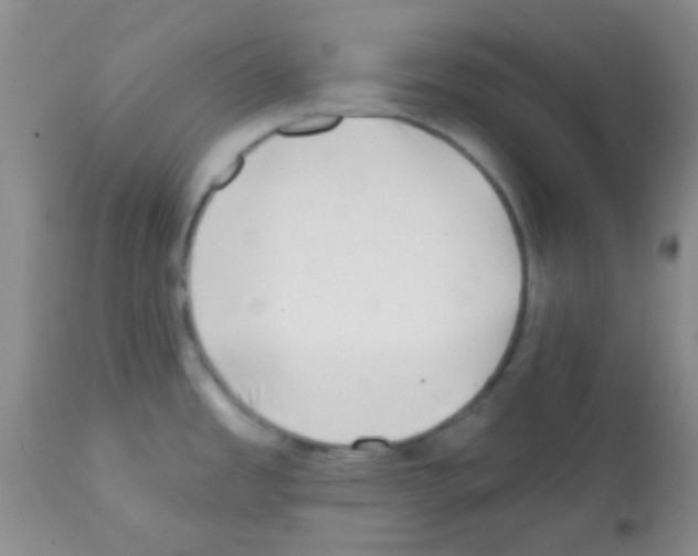 X0000113201485200910221028