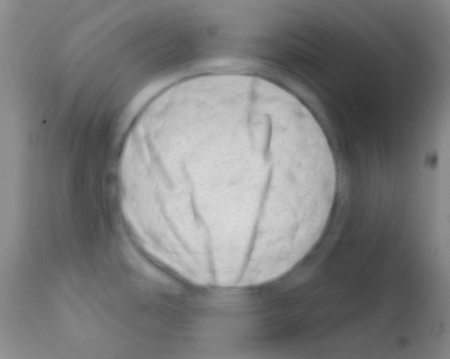 X0000113201486200910221028