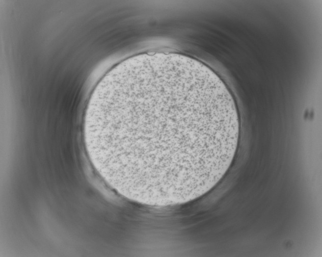 X0000113201488200910221028