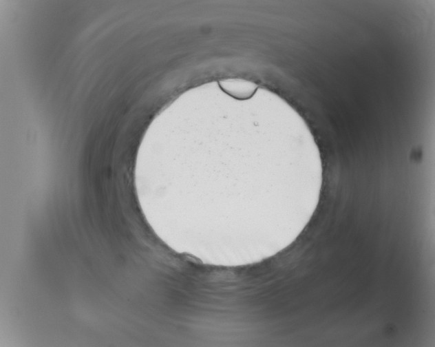 X0000113201489200910221028
