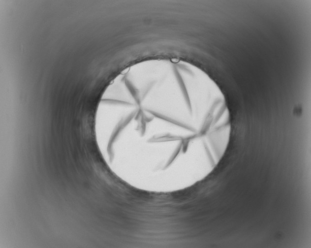 X0000113201490200910221028
