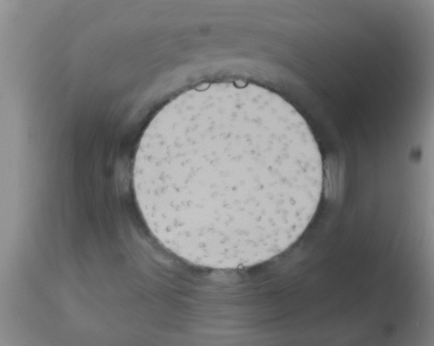 X0000113201491200910221028