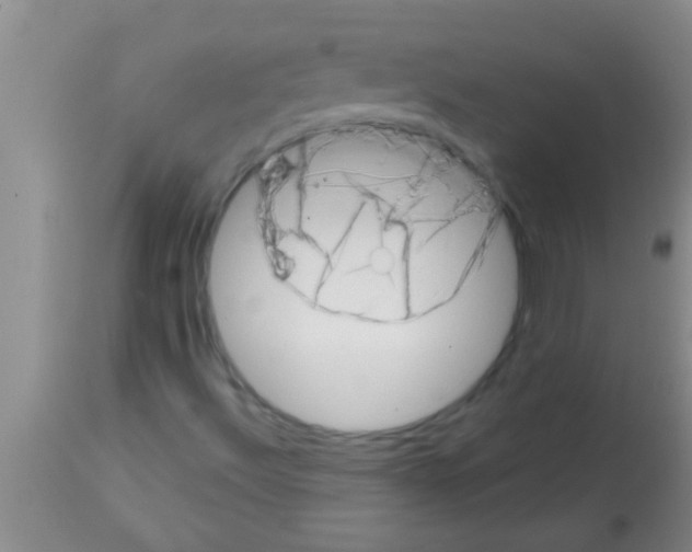 X0000113201492200910221028