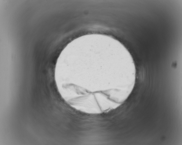 X0000113201493200910221028