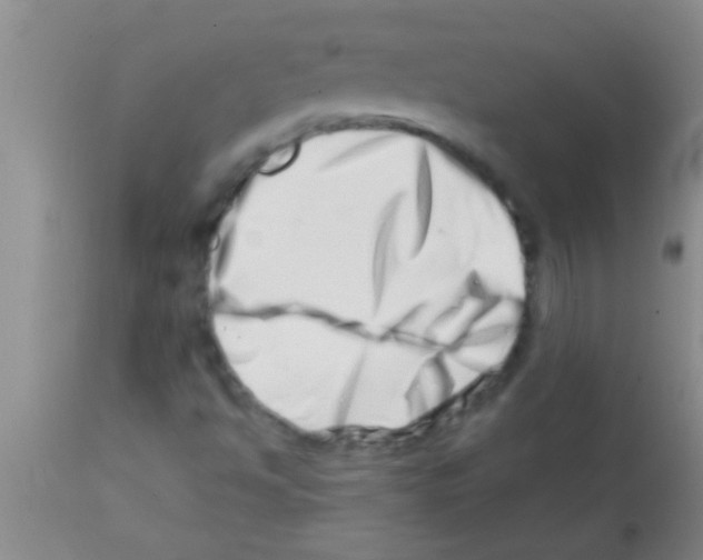 X0000113201494200910221028
