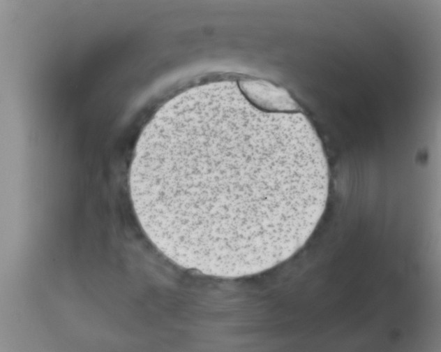 X0000113201495200910221028
