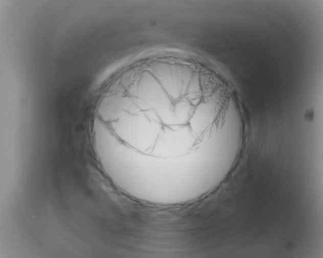 X0000113201496200910221028