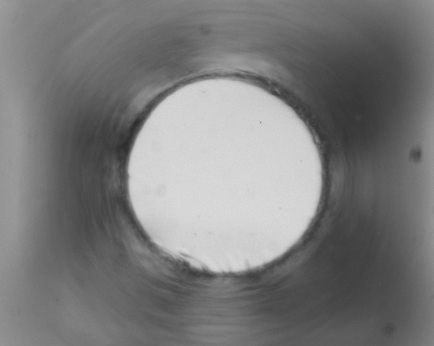 X0000113201497200910221028