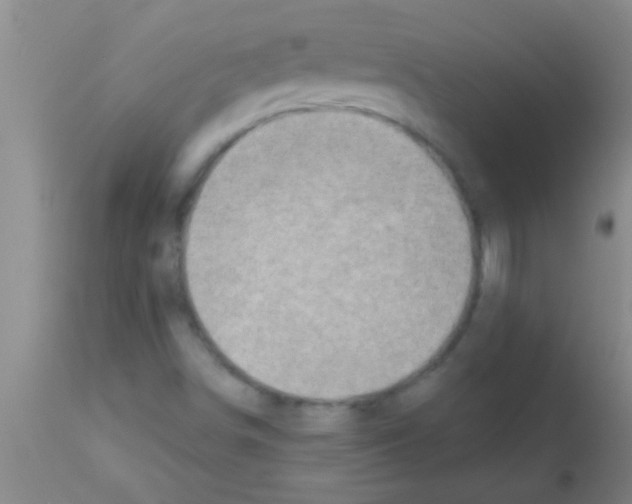 X0000113201498200910221028