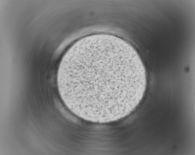 X0000113201499200910221028