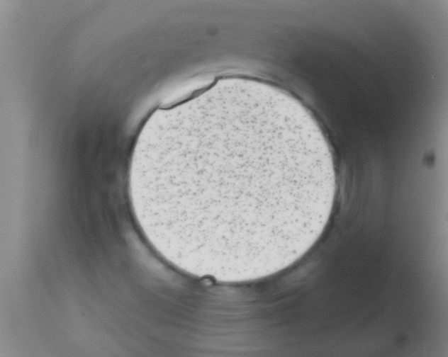 X0000113201500200910221028