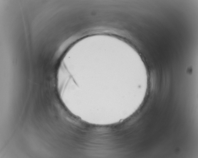 X0000113201501200910221028