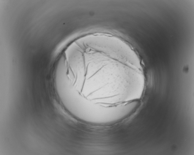X0000113201502200910221028