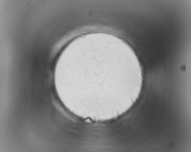 X0000113201503200910221028