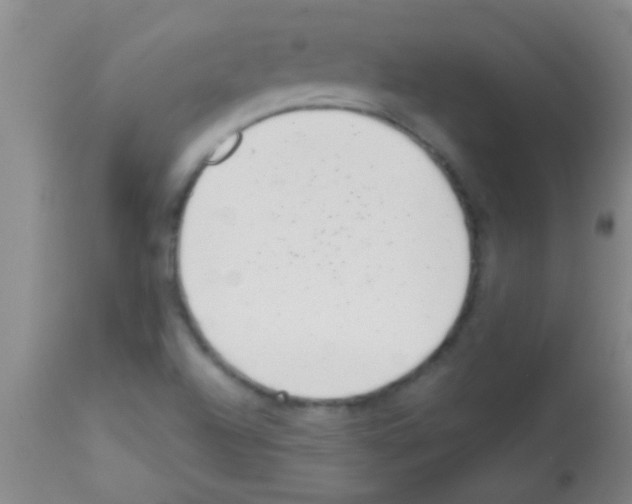 X0000113201504200910221028