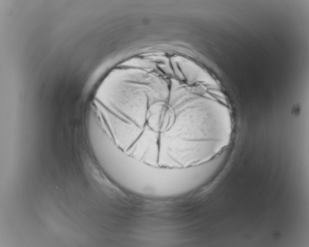 X0000113201506200910221028
