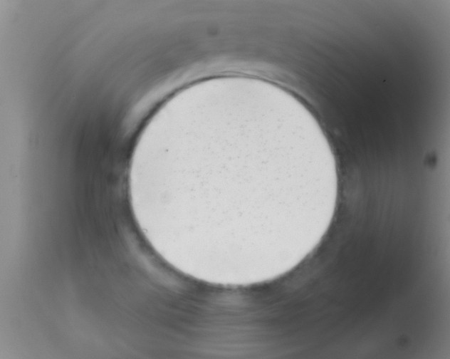 X0000113201507200910221028