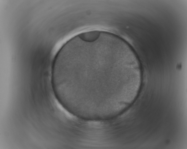 X0000113201508200910221028