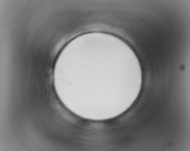 X0000113201509200910221028