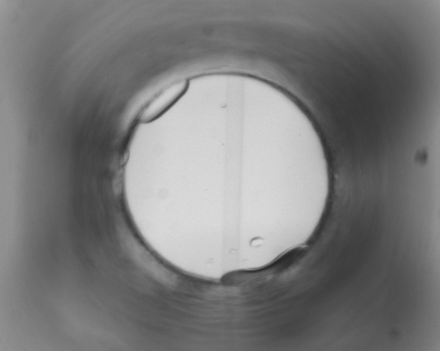 X0000113201510200910221028