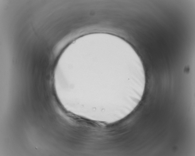 X0000113201511200910221028