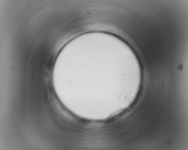 X0000113201513200910221028
