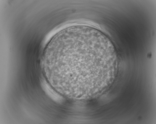 X0000113201514200910221028