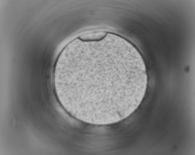 X0000113201516200910221028