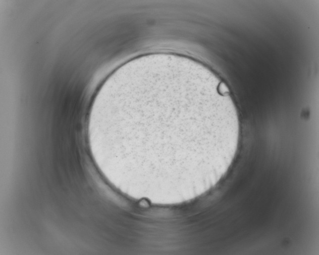 X0000113201517200910221028