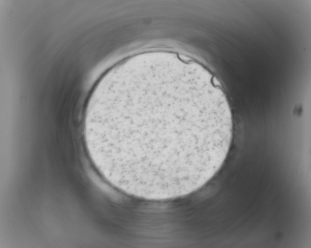 X0000113201519200910221028