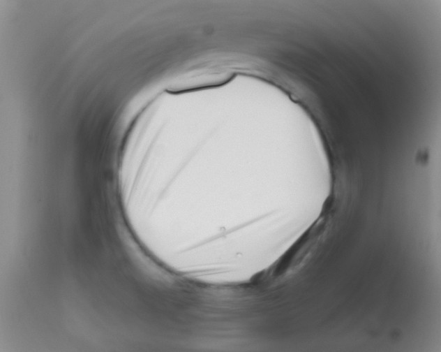X0000113201520200910221028