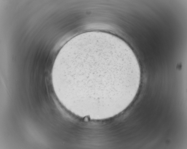 X0000113201521200910221028