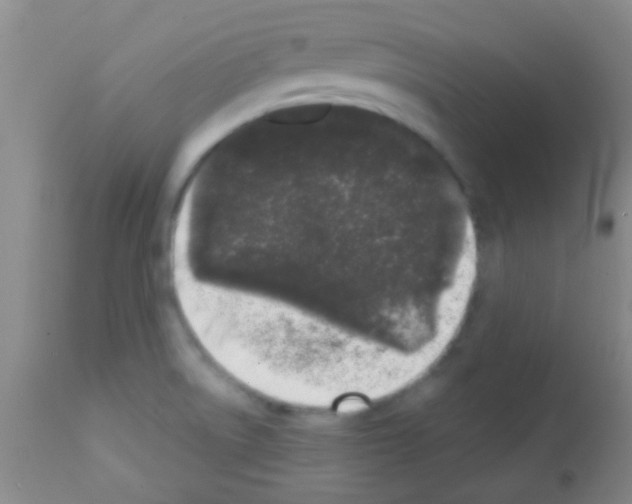 X0000113201522200910221028