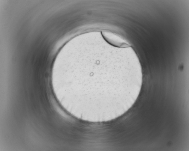 X0000113201523200910221028
