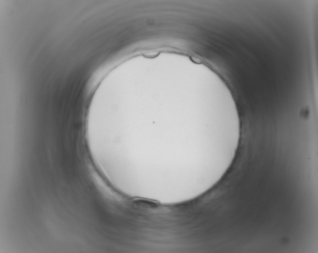 X0000113201524200910221028