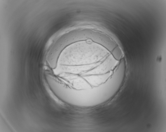 X0000113201525200910221028