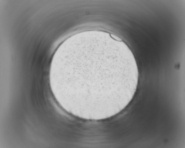 X0000113201526200910221028