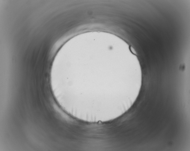 X0000113201527200910221028