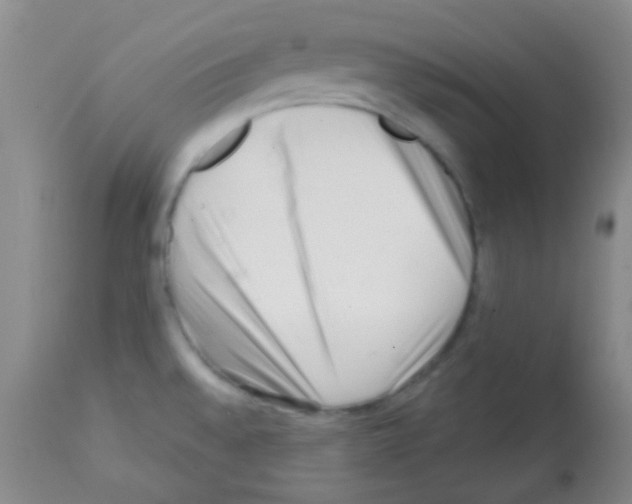 X0000113201528200910221028