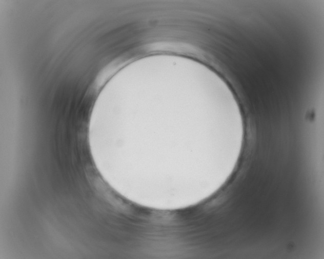 X0000113201529200910221028