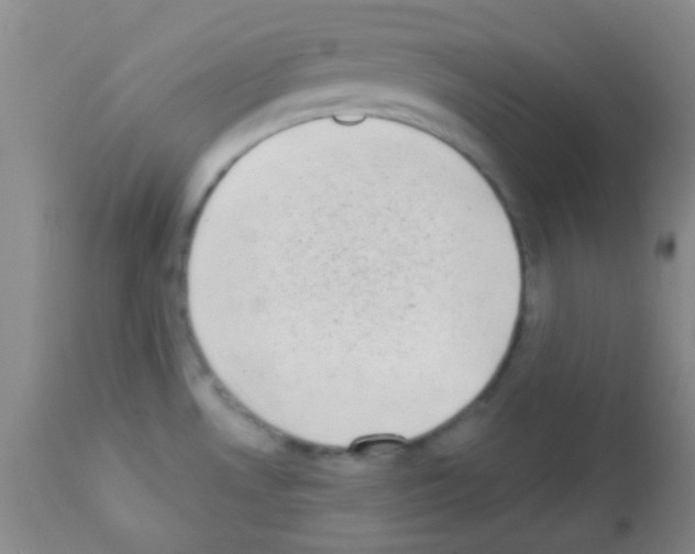 X0000113201530200910221028