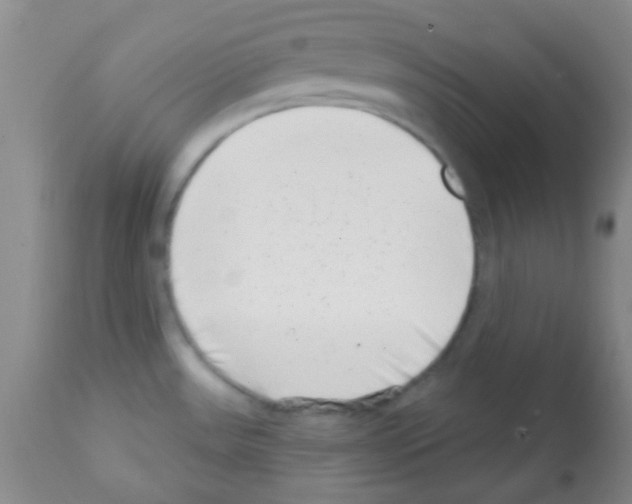 X0000113201531200910221028