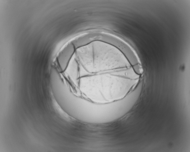 X0000113201532200910221028
