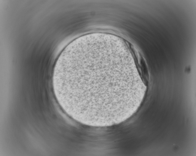 X0000113201533200910221028
