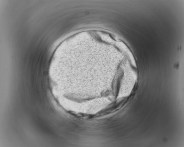 X0000113201534200910221028