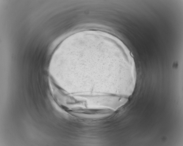 X0000113201535200910221028